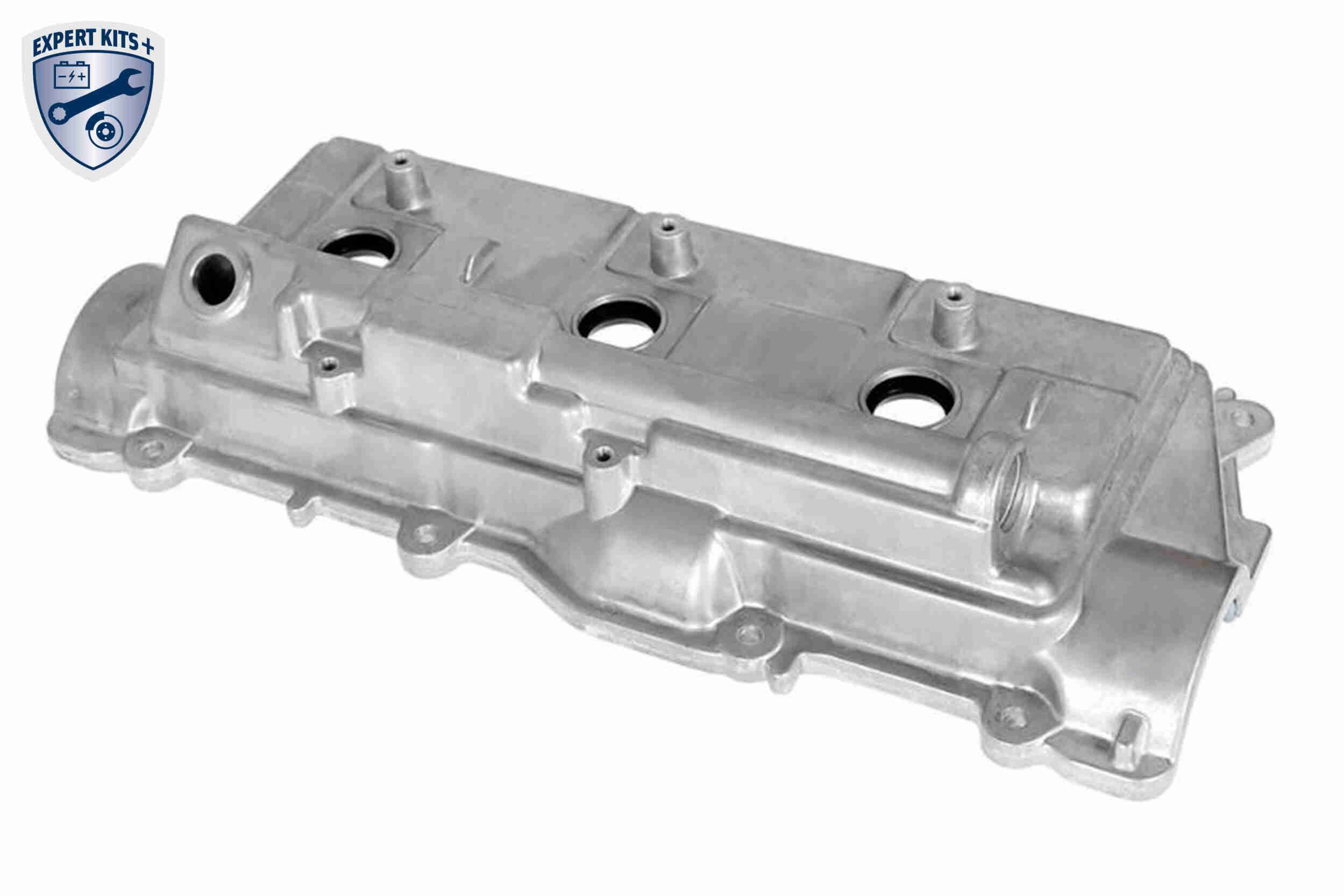 Ackoja Cilinderkopkap A70-0854