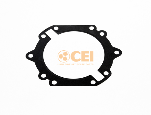 C.E.I. Versnellingsbakas dichtingsring 139.987