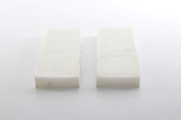 BSG Interieurfilter BSG 11-145-001