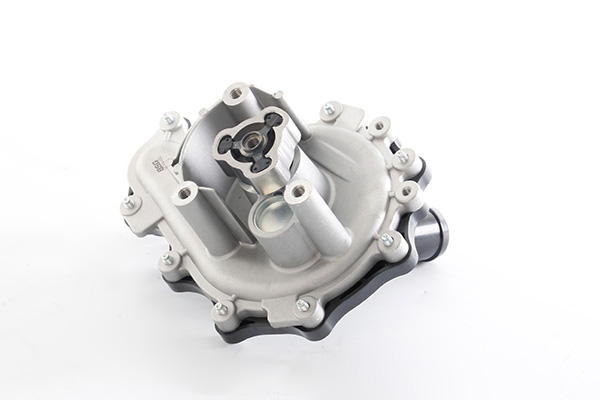 BSG Waterpomp BSG 30-500-022