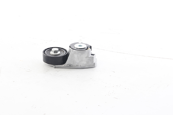 BSG Spanner poly V-riem BSG 30-615-053