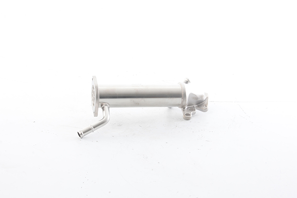 BSG EGR koeler BSG 30-725-116