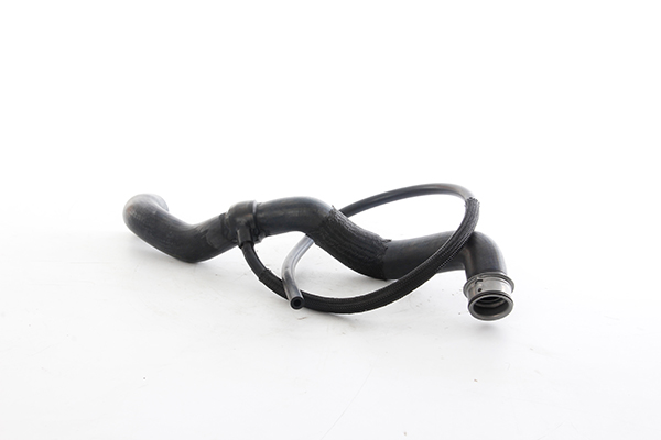 BSG Radiateurslang BSG 60-720-262