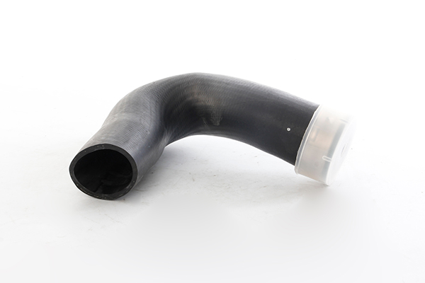 BSG Laadlucht-/turboslang BSG 60-720-265