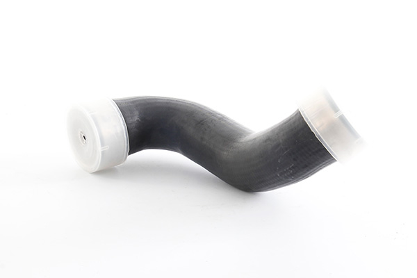 BSG Laadlucht-/turboslang BSG 60-720-309