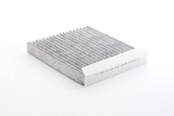 BSG Interieurfilter BSG 65-145-025