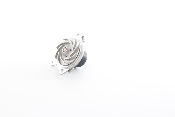 BSG Waterpomp BSG 65-500-018