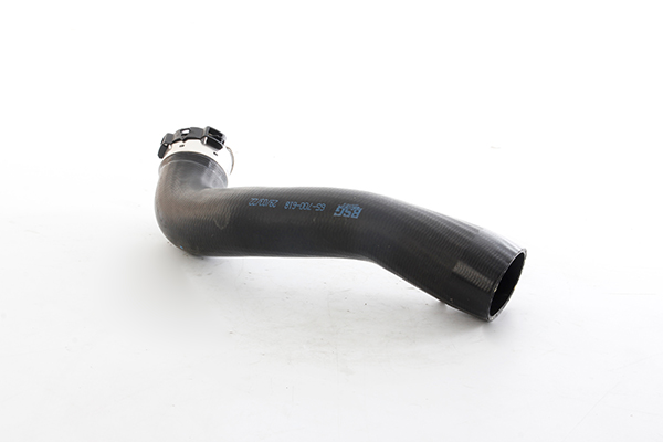 BSG Laadlucht-/turboslang BSG 65-700-618