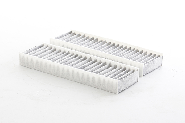 BSG Interieurfilter BSG 70-145-025