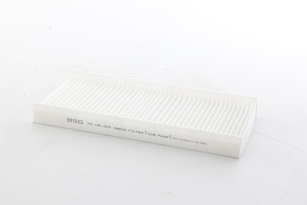 BSG Interieurfilter BSG 70-145-029