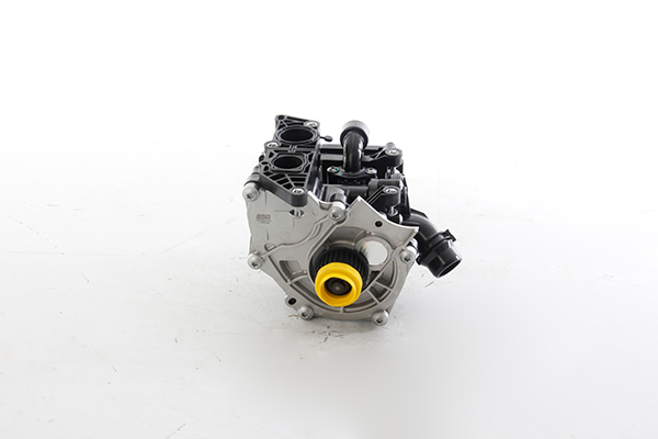 BSG Thermostaat BSG 90-500-034