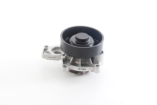 BSG Waterpomp BSG 15-500-046