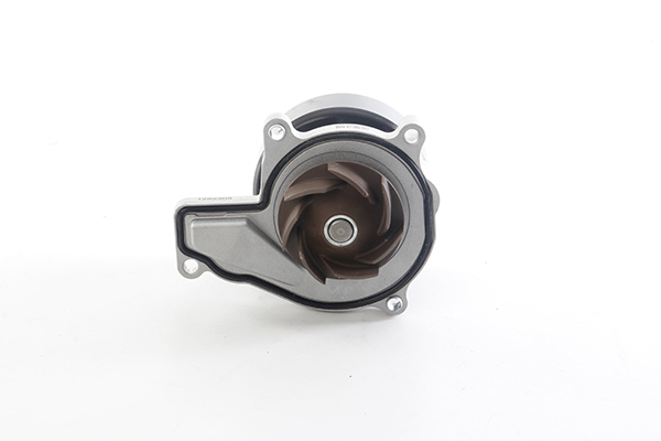 BSG Waterpomp BSG 61-500-001