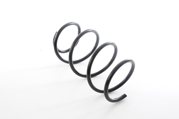 BSG Veer BSG 15-305-007