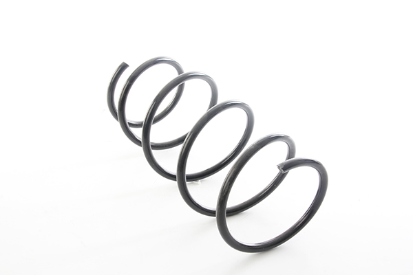 BSG Veer BSG 15-305-017