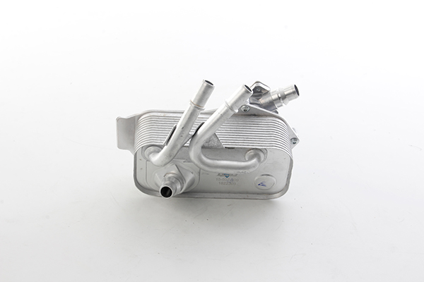 BSG Oliekoeler motorolie BSG 15-507-009