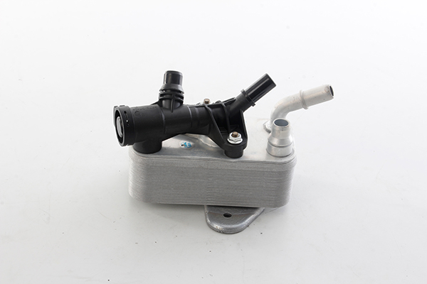 BSG Oliekoeler motorolie BSG 15-507-010