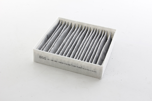 BSG Interieurfilter BSG 81-145-001
