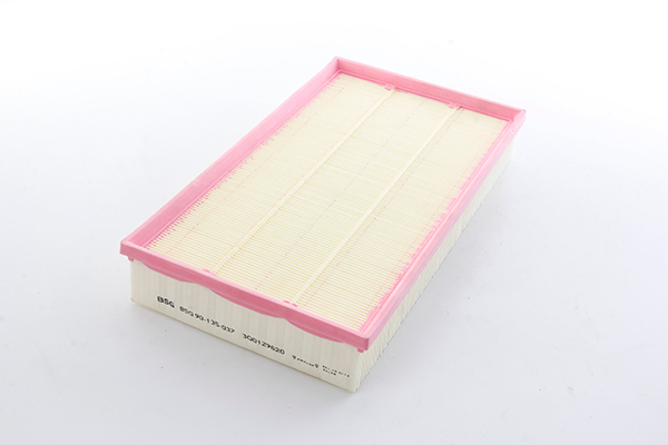 BSG Luchtfilter BSG 90-135-037