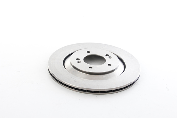 BSG Remschijven BSG 40-210-058