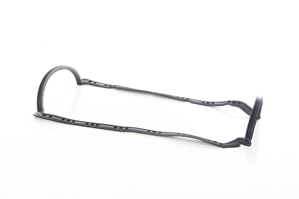 BSG Carter pakking BSG 30-116-165