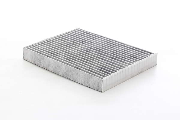 BSG Interieurfilter BSG 30-145-023