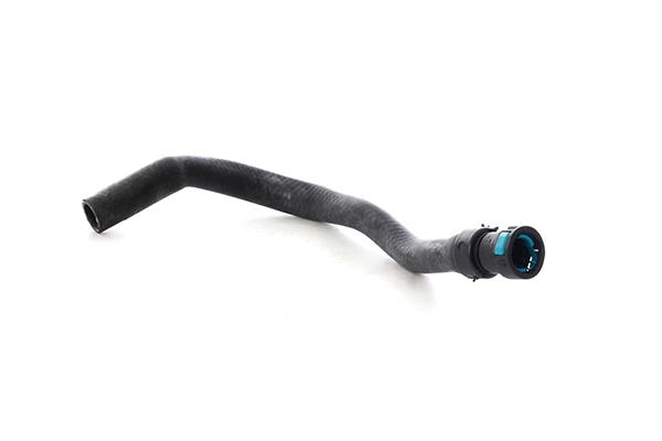 BSG Sierlijsten BSG 30-720-311