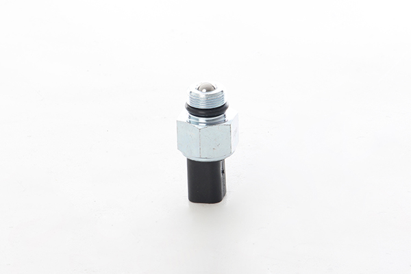 BSG Achteruitrijlichtschakelaar BSG 30-840-068