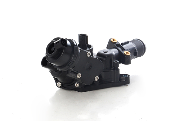 BSG Thermostaat BSG 60-125-026