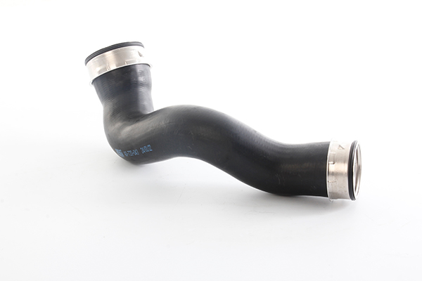 BSG Laadlucht-/turboslang BSG 60-720-043