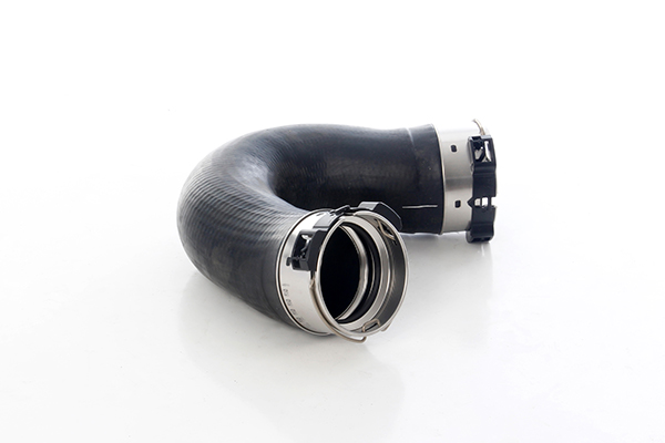 BSG Laadlucht-/turboslang BSG 60-720-284