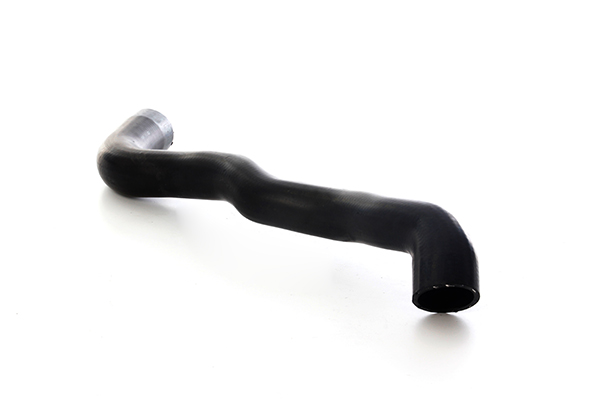 BSG Radiateurslang BSG 60-720-315