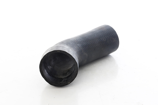 BSG Laadlucht-/turboslang BSG 60-720-331