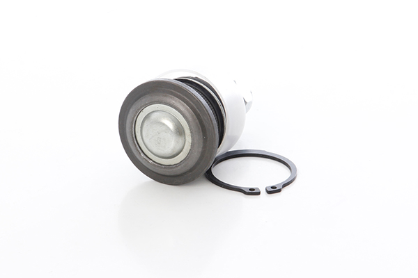 BSG Fuseekogel BSG 62-310-001