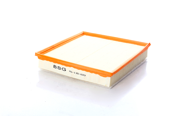 BSG Luchtfilter BSG 75-135-020