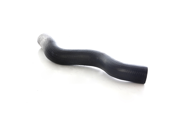 BSG Radiateurslang BSG 75-720-118