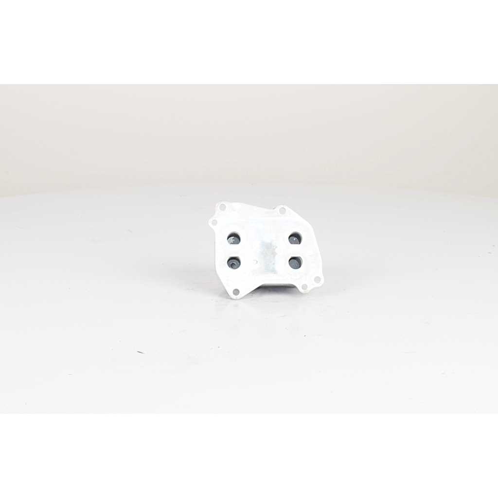 BSG Oliekoeler motorolie BSG 15-506-025