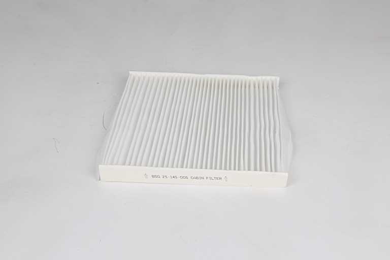 BSG Interieurfilter BSG 25-145-005