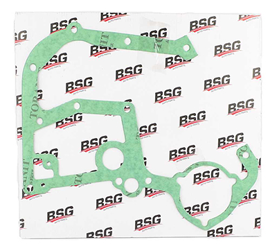 BSG Carter pakking BSG 30-116-028