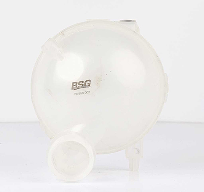 BSG Expansievat BSG 70-550-002