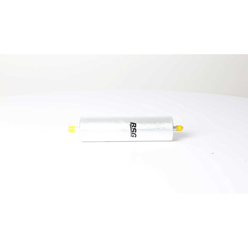 BSG Brandstoffilter BSG 90-130-028