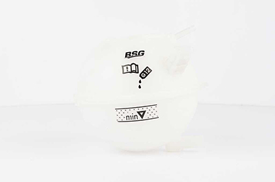 BSG Expansievat BSG 90-550-001