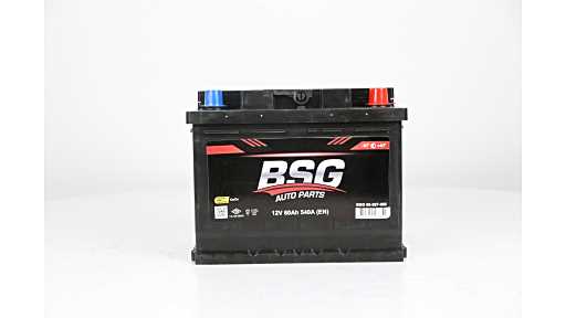 BSG Accu BSG 99-997-006