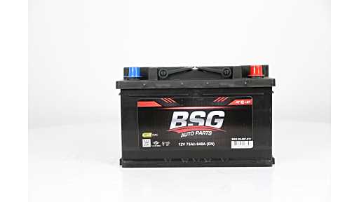 BSG Accu BSG 99-997-011