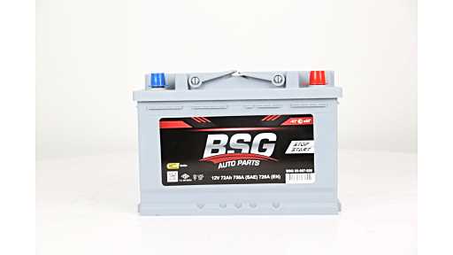 BSG Accu BSG 99-997-020