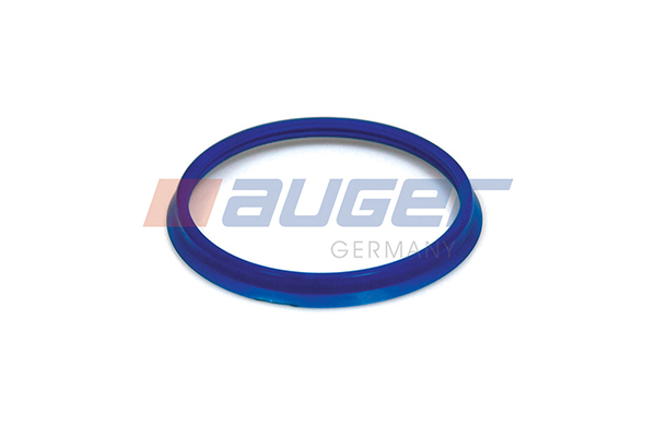Auger Dichtring fuseepen 55243