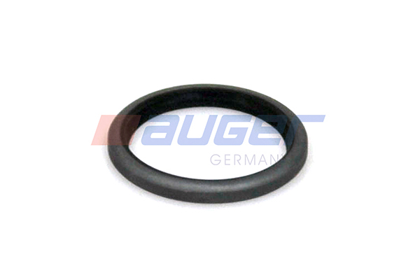 Auger Dichtring fuseepen 55239