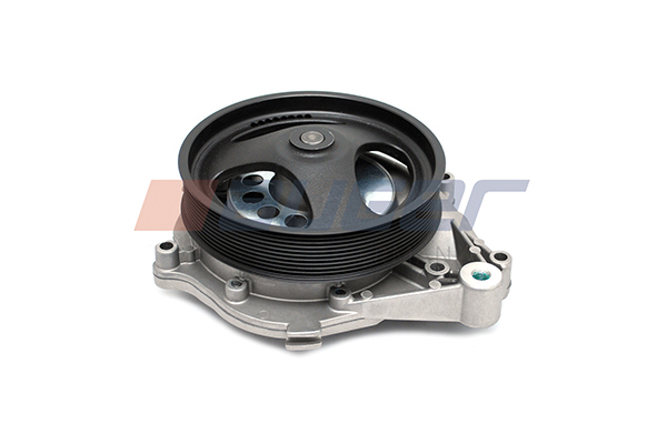 Auger Waterpomp 80760