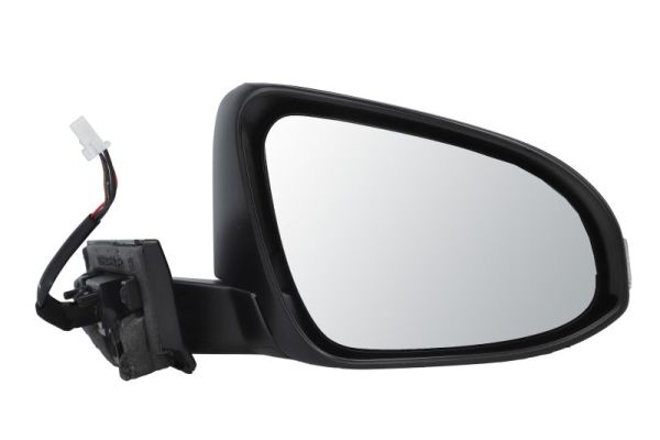 Blic Buitenspiegel 5402-01-1419311P