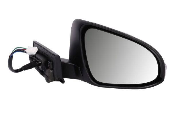 Blic Buitenspiegel 5402-01-1419313P